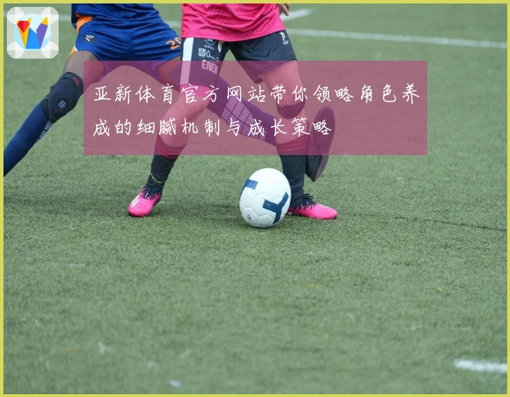 亚新体育官方网站带你领略角色养成的细腻机制与成长策略