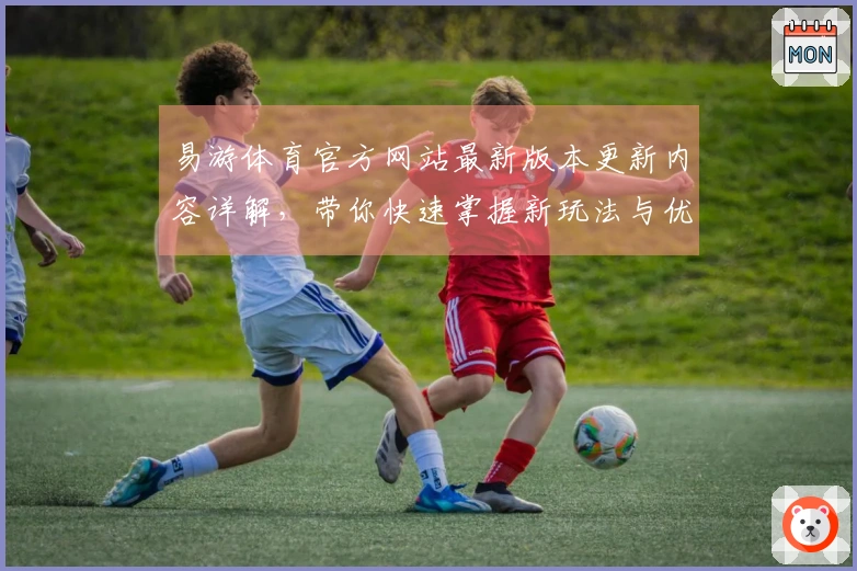 易游体育官方网站最新版本更新内容详解，带你快速掌握新玩法与优化技巧