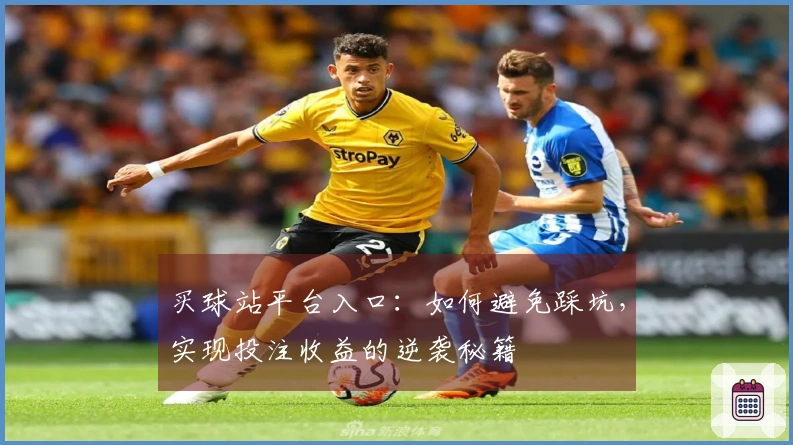 买球站平台入口：如何避免踩坑，实现投注收益的逆袭秘籍