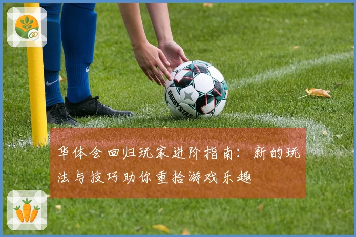 华体会回归玩家进阶指南：新的玩法与技巧助你重拾游戏乐趣